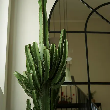 Si Sofia לינה וארוחת בוקר