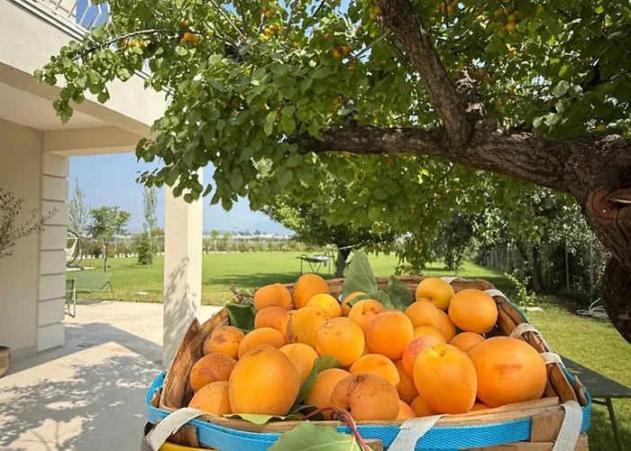 Si Sofia Bed & Breakfast 3*