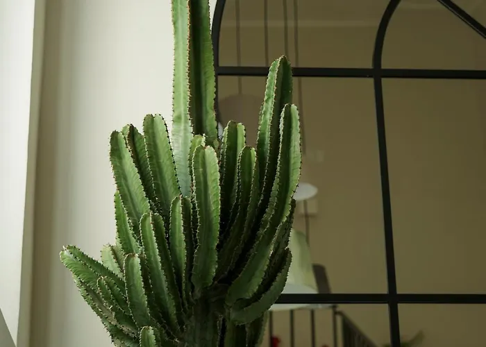 Si Sofia Bed & Breakfast